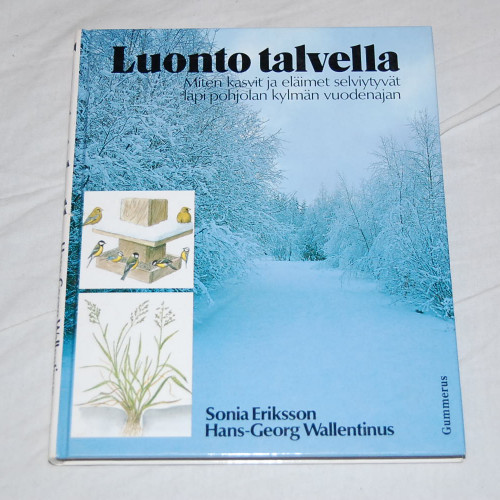 Luonto talvella